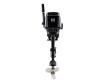 2х-тактный лодочный мотор PARSUN T9.8BMS