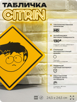 Табличка декоративная "Джимми Волмер" из сериала Южный парк, South Park на дверь и стену, прикольная штука в подарок фанату, декоративный знак, 24,5х24,5 см, CITRIN / ЦИТРИН, Айдентика Технолоджи