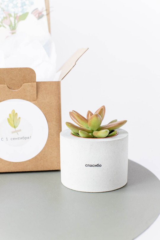 Подарочный комплект "Спасибо"