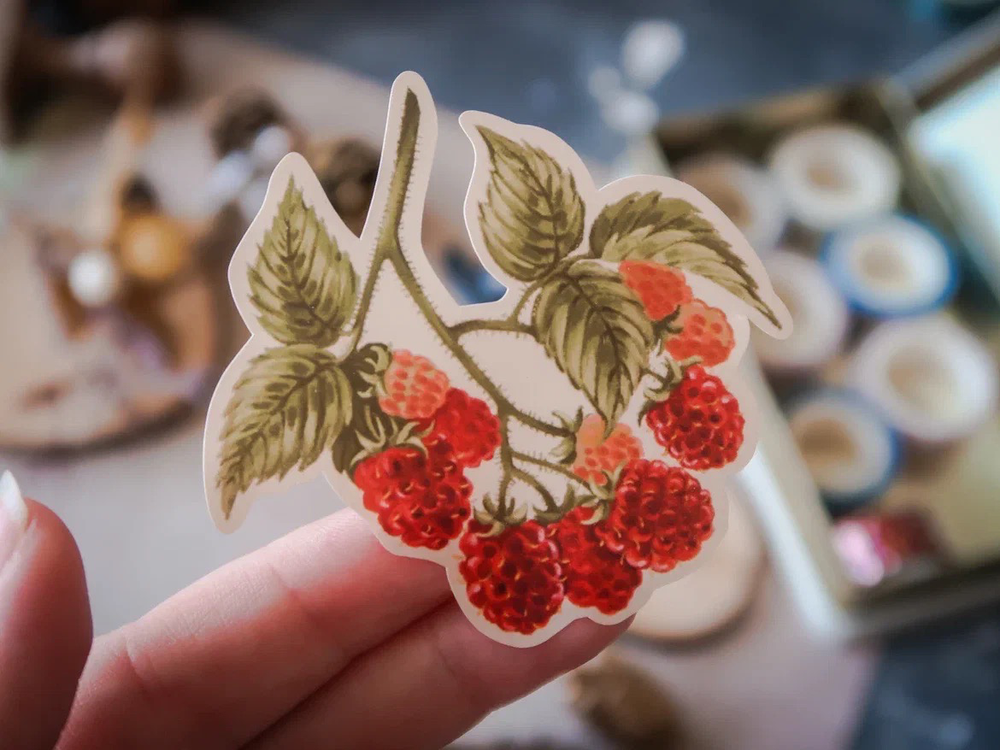 SINGLE RASPBERRY
