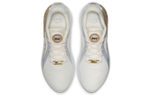 Кроссовки Nike Joyride Dual Run 2 Prm (Женская размерная сетка)