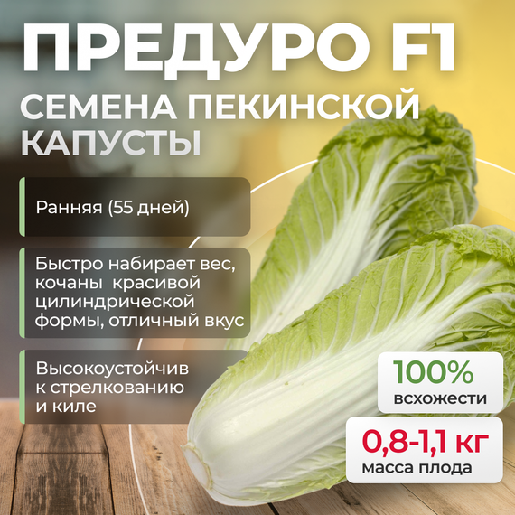 ПРЕДУРО F1 семена капусты пекинской (Takii)
