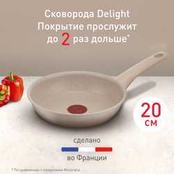 Сковорода Tefal Delight 20 см G2930202
