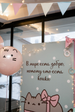 Mint Pusheen Party