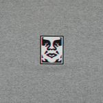  Футболка мужская Obey Double Vision артикул:165262587 - купить в магазине Дайс