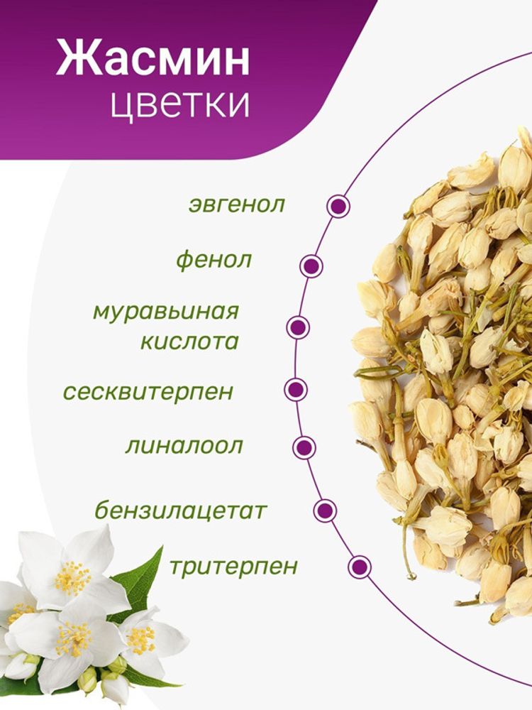 Жасмин цвет