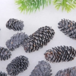 Композиция для декора «Сказочные шишки» 10*10*13 см (120 гр), графит