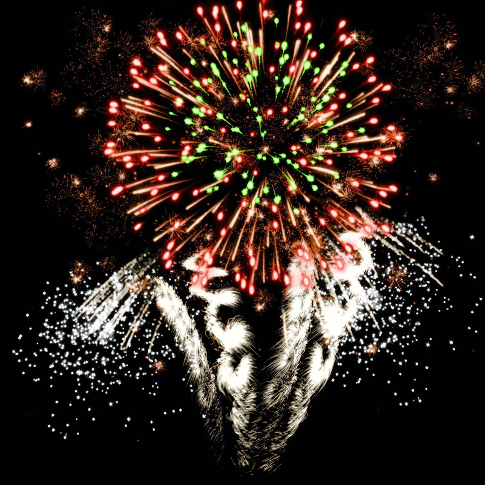 Фейерверк "Хит сезона"