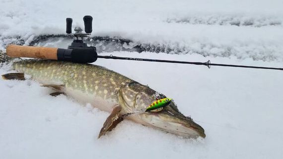 Балансир LJ Pro Series MEBARU 67мм/201 блистер