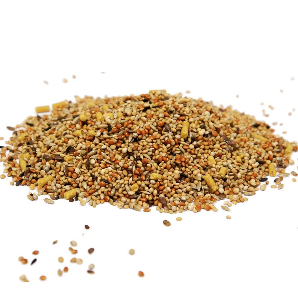 Корм для экзотических птиц FIORY Esotici