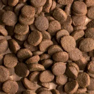 Сухой корм ProBalance Immuno Adult Maxi для взрослых собак крупных пород