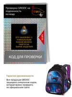 Ранец GROOC 9-146 + пенал + мешок + сумка-пенал