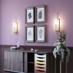 4655/1W COUNTRY ODL20 000 золотой/прозрачный Бра E14 60W 220V RENA