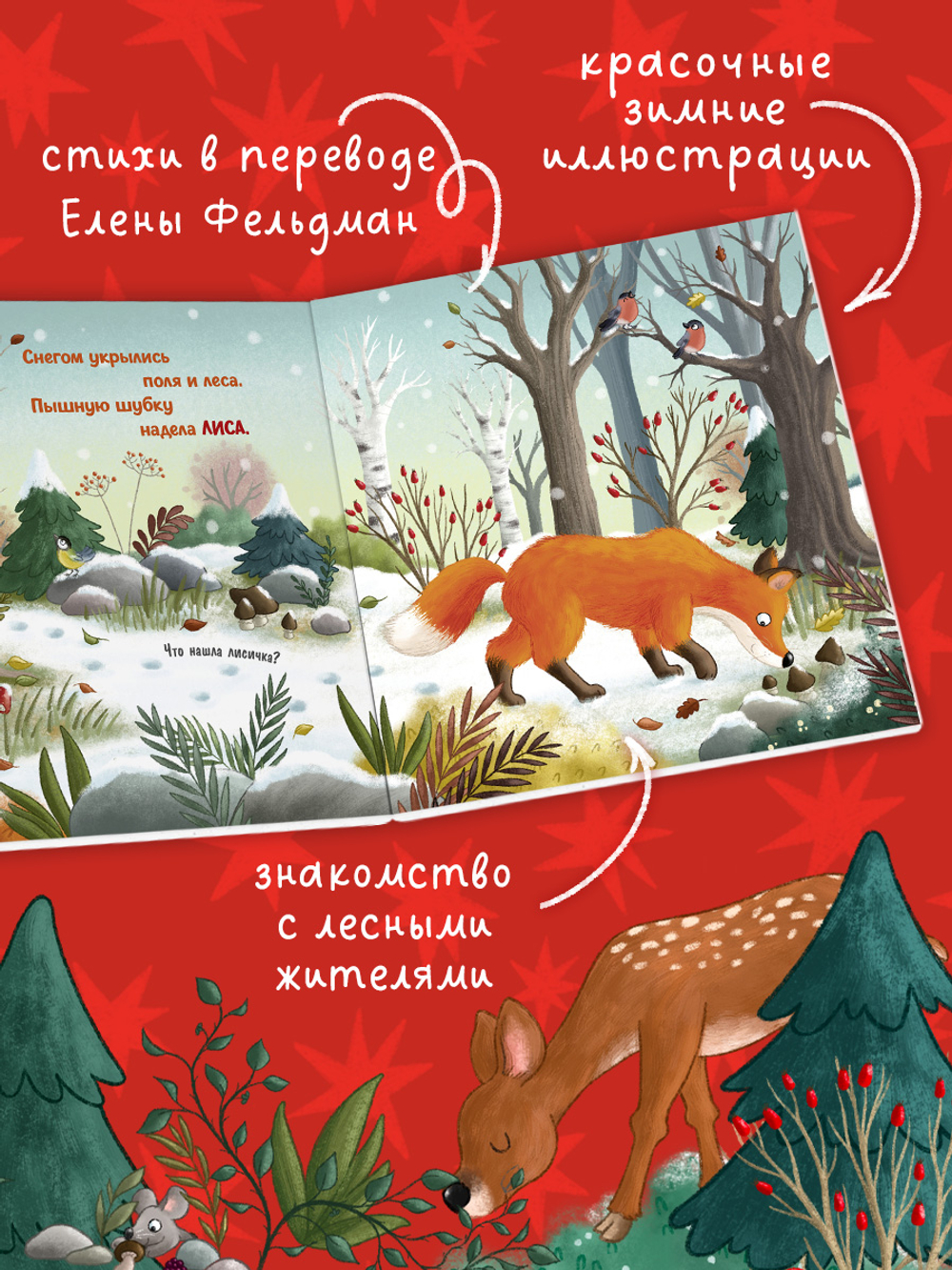 Книжки-картонки. Зима в лесу