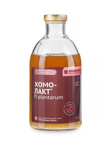 Хомо-лакт П plantarum — 2 этап программы