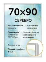 Металлическая рамка для постера 70х90 см