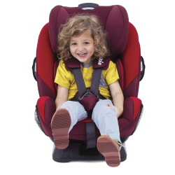 Детское автокресло Joie Every Stage R