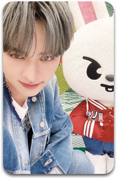 Карта / STRAY KIDS #1050