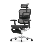 Кресло FALTO Ergohuman Luxury 2 с подножкой ( чёрный каркас /сетка чёрный T-168-B1 Black )