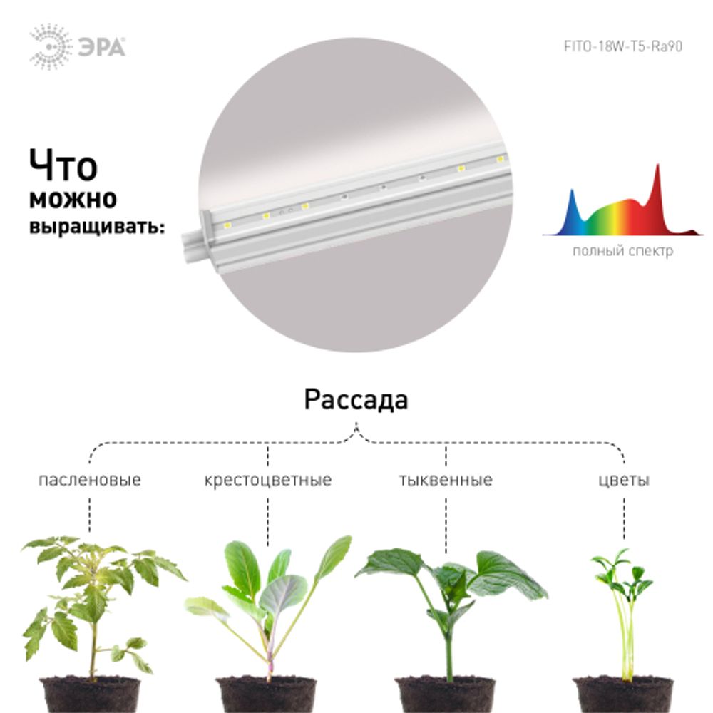 Светильник для растений, фитолампа светодиодная линейная ЭРА FITO-18W-T5-Ra90 полного спектра 18 Вт Т5 | Линейные фито светильники