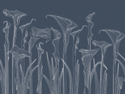 Коллекция ArtLine