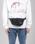 Сумка поясная Anteater Waistbag Light Black