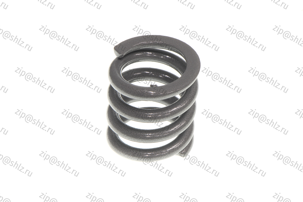 Пружина 0621.03.10.002