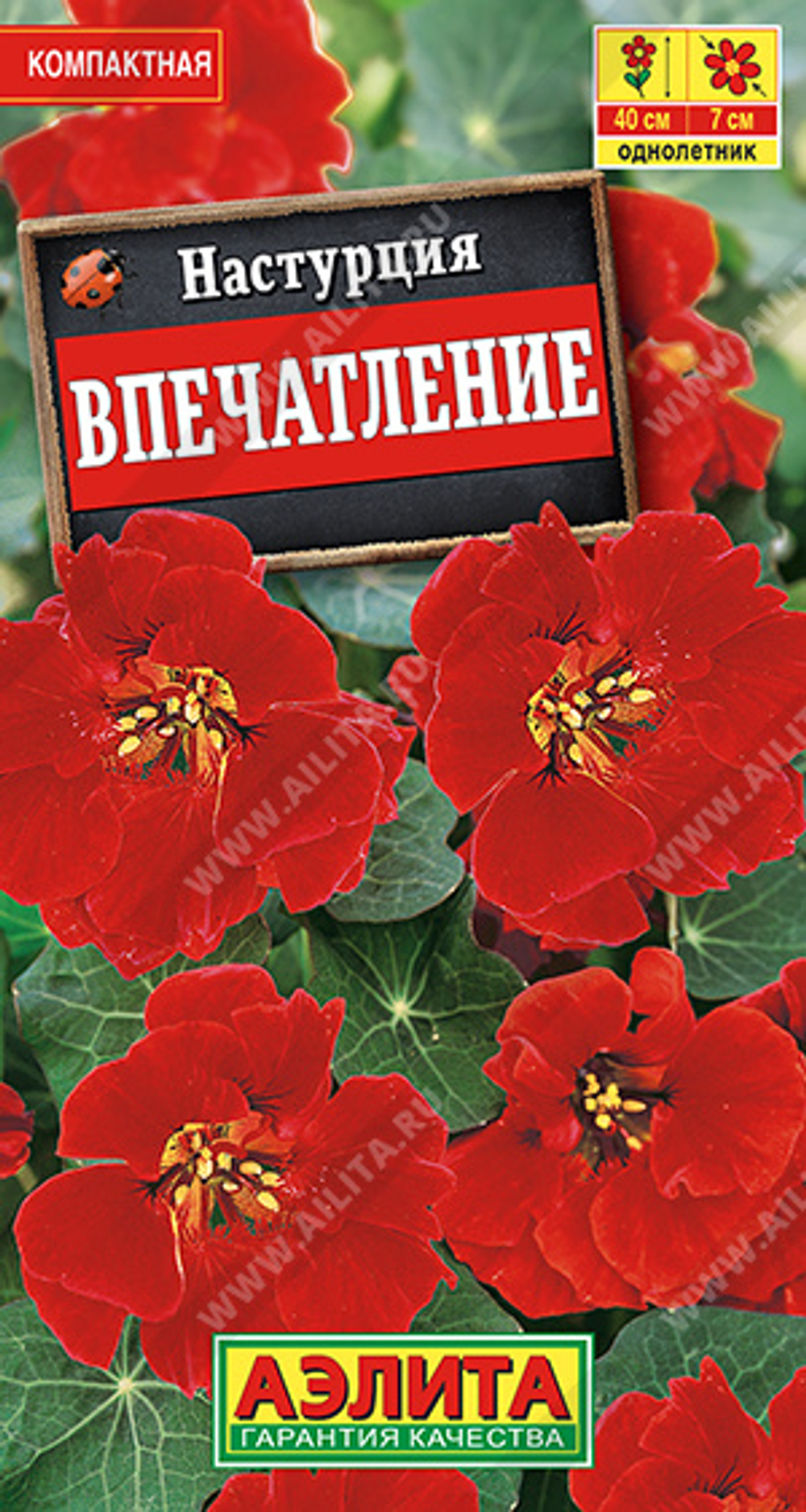 Настурция Впечатление