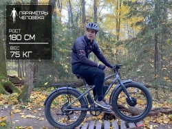 Электрофэтбайк VOLTECO BIGCAT DUAL NEW