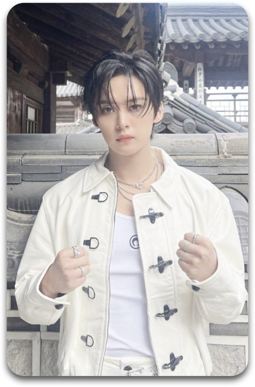 Карта / STRAY KIDS #2261