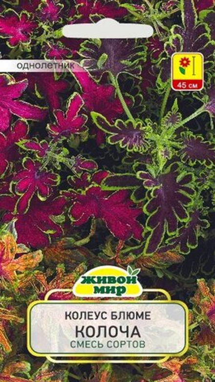 Колеус блюме "ЖМ. Koлoчa cмecь" 10шт, Чехия.