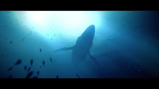 Under The Waves [PS4, русские субтитры]