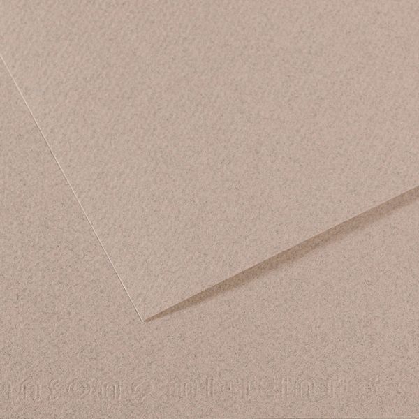 Бумага для пастели Mi-Teintes 160 г/м², 75х110 см, 10 л, №426 Серый лунный камень, Canson, C31033S164