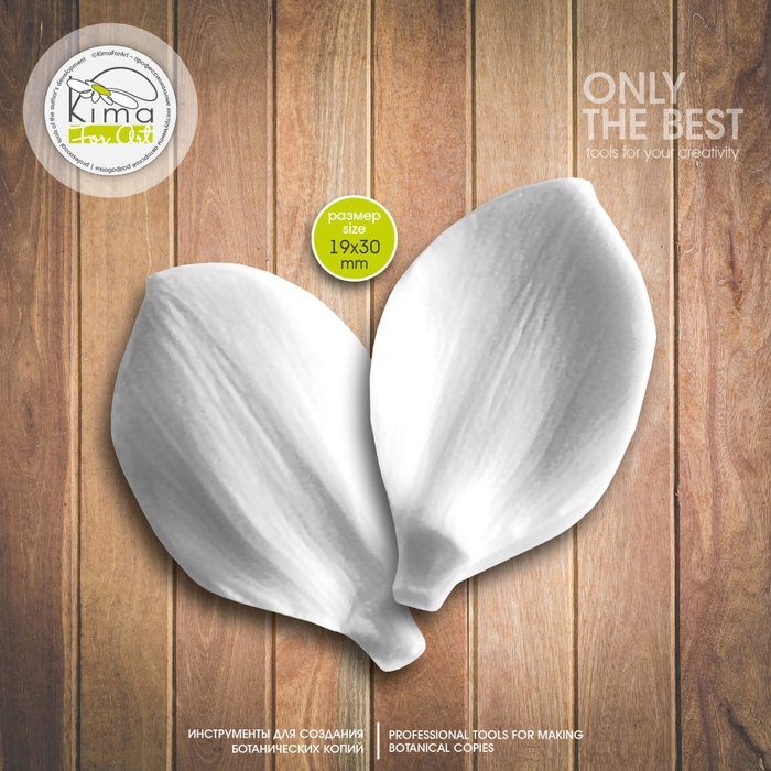 Нарцисс лепесток маленький