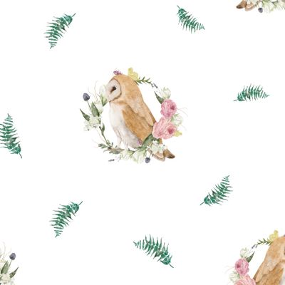 Сова белый фон