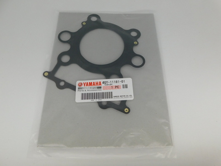 прокладка гбц Yamaha TT-R250 TT250R 4GY-11181-01-00