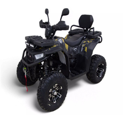 Квадроцикл бензиновый MOTAX GRIZLIK W200 LUX