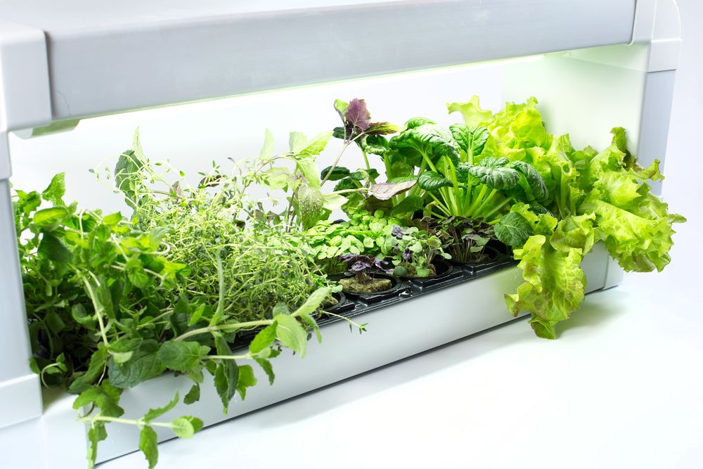 Компактная гидропонная установка