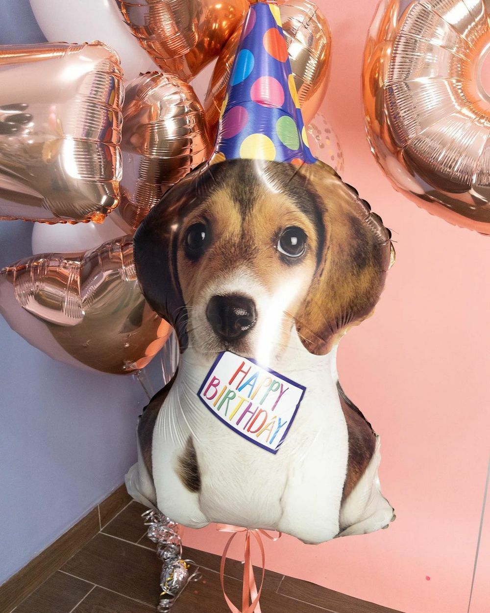 G Шар Щенок в колпаке, 41"/104см  Изображение2