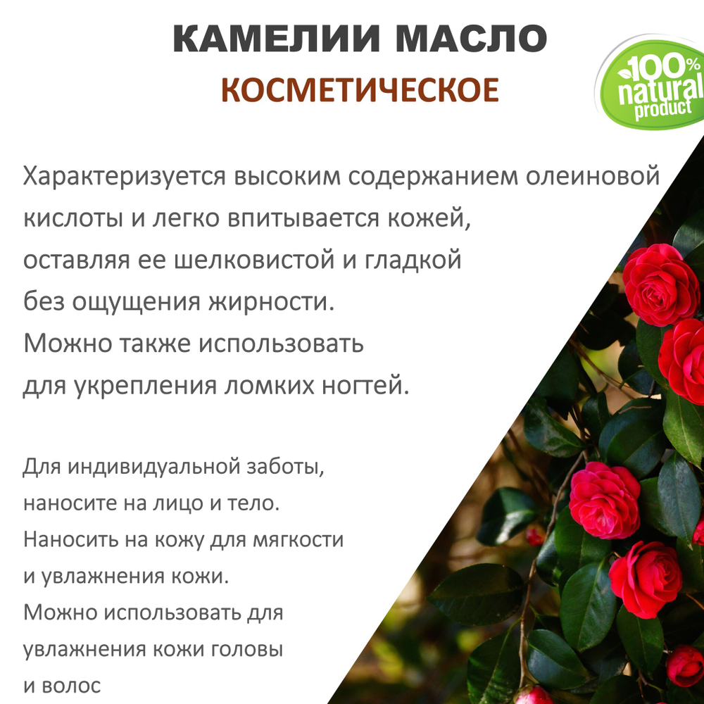Камелии масло, косметическое / 100 мл