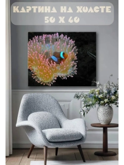 Картина на стену 40 X 50 Рыба клоун
