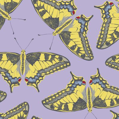 Жёлтые махаоны на лавандовом