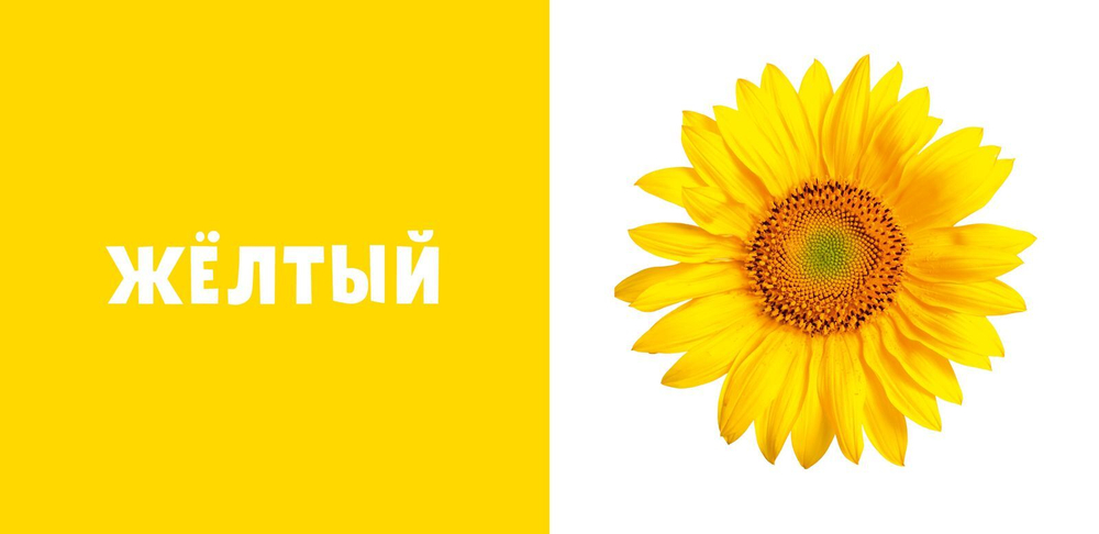 Первые слова. Цвета. Фотокнига
