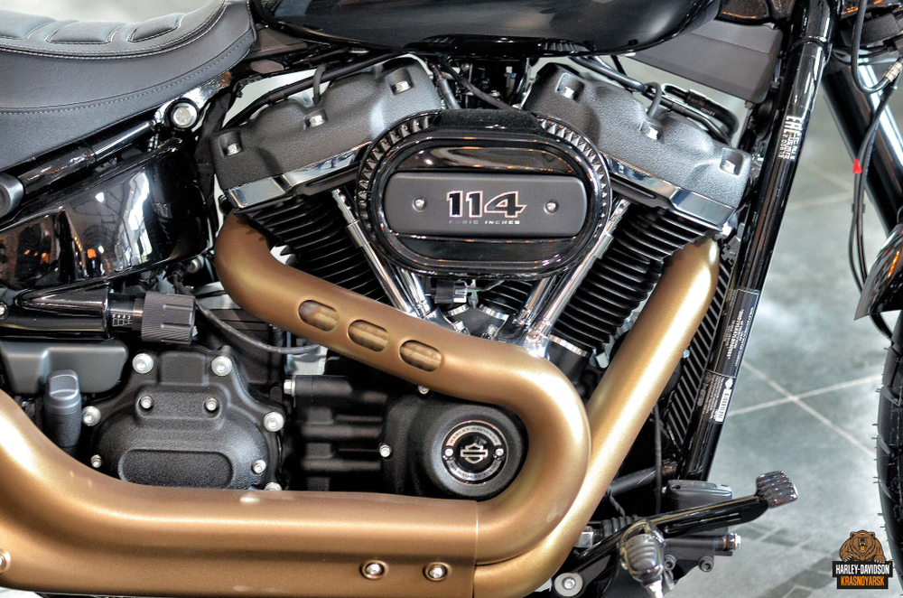 Harley-Davidson Softail Fat Bob 114 (FXFBS) 2021