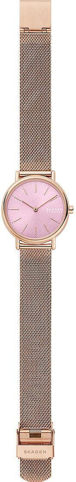 Женские наручные часы Skagen SKW2975