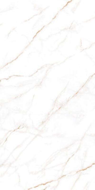 Керамогранит Neo Calacatta (GFU60120NCL04R) матовый