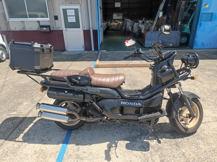 Honda PS250 Big Ruckus , 2004