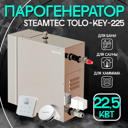 Steamtec TOLO KEY 225 - 22,5 кВт (ВЛАГОСТОЙКИЙ модуль управления), парогенератор для хамама и турецкой бани