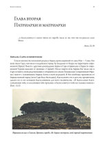 Храм Соломона. От древнего Израиля до тайных обществ