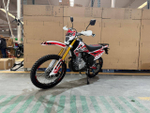 ALMOTOR 300сс
